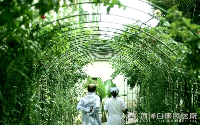 山(shān)东菏泽白癜风医院